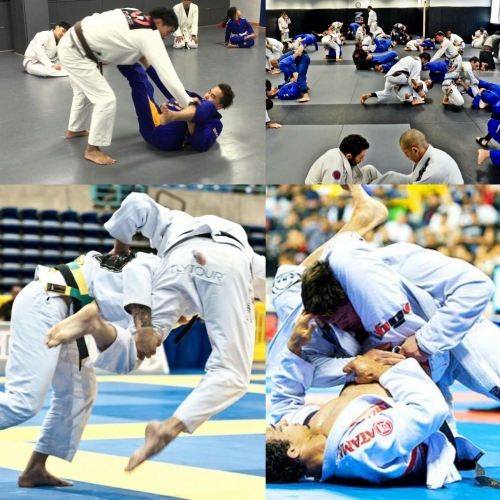 BJJ in Action