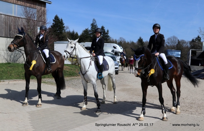 Hallenspringturnier Roost
