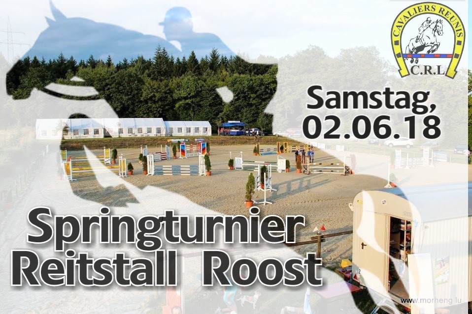 Springturnier Roost E-M*