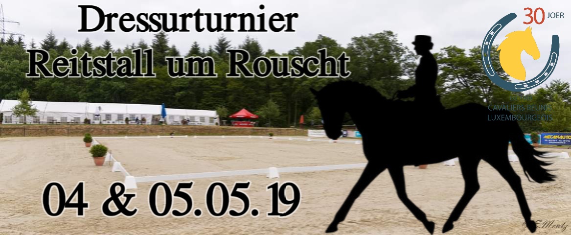 Dressurturnier Roost