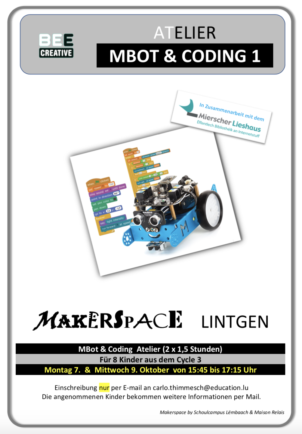 Coding & mBot Workshop   (Anfängerkurs)