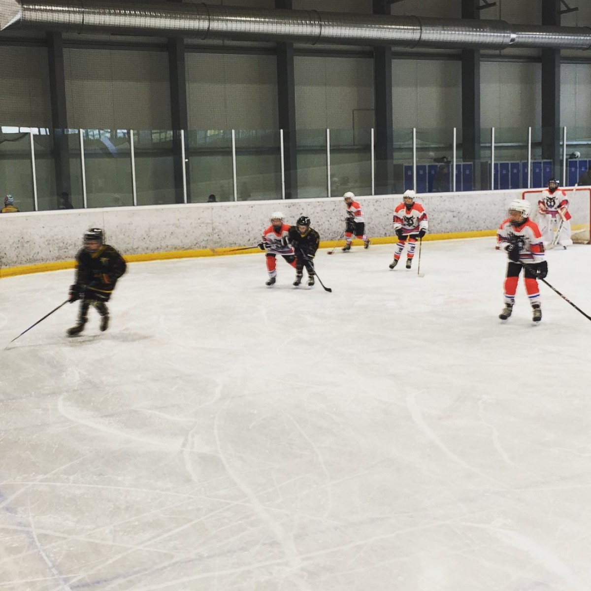 U13 Plateau in Mulhouse November 18th 2017