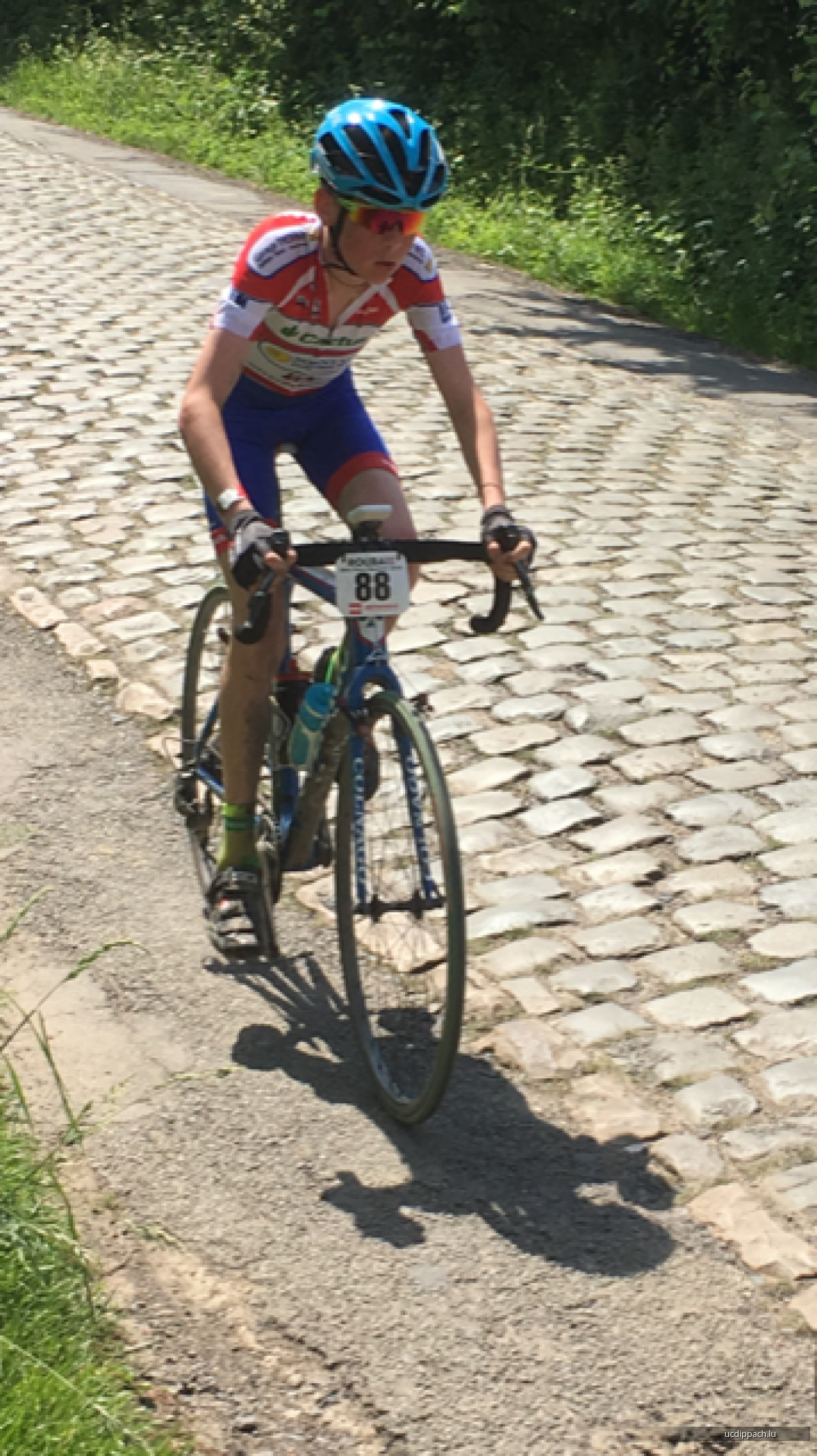 Mini Paris Roubaix