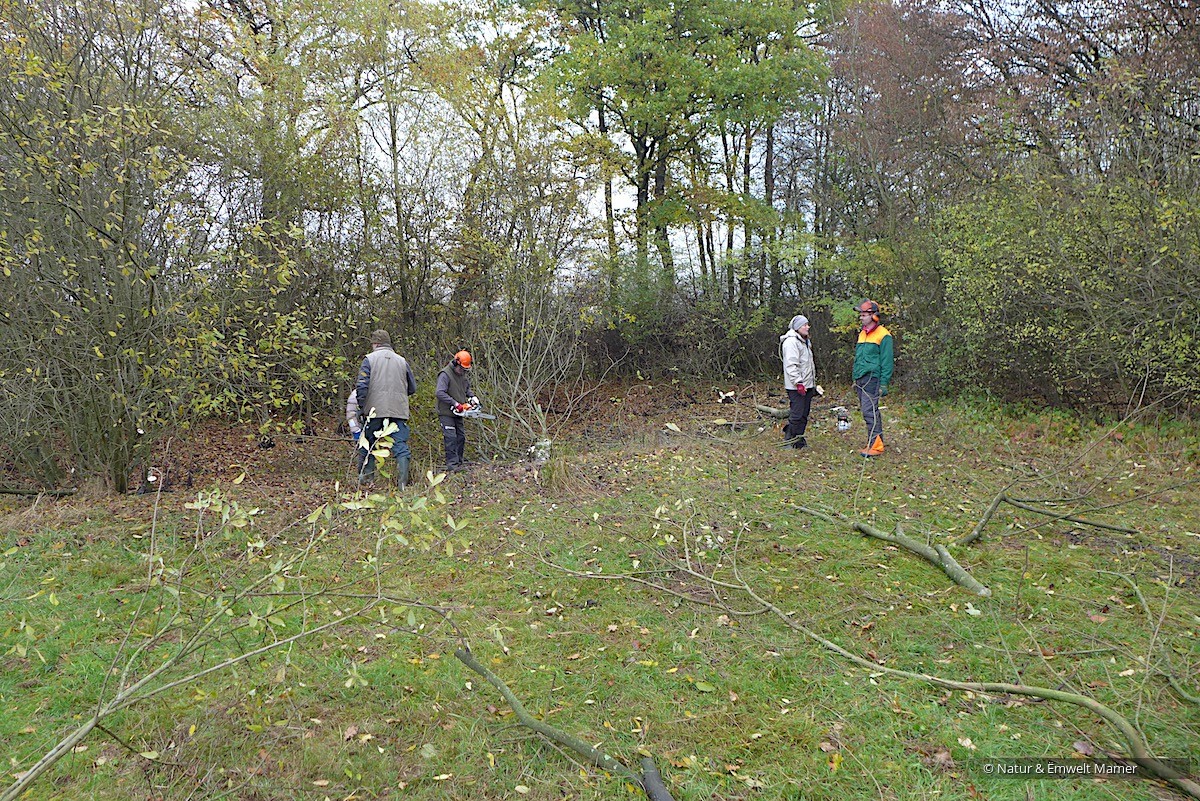 Pflegearbeiten Kalkesfeld