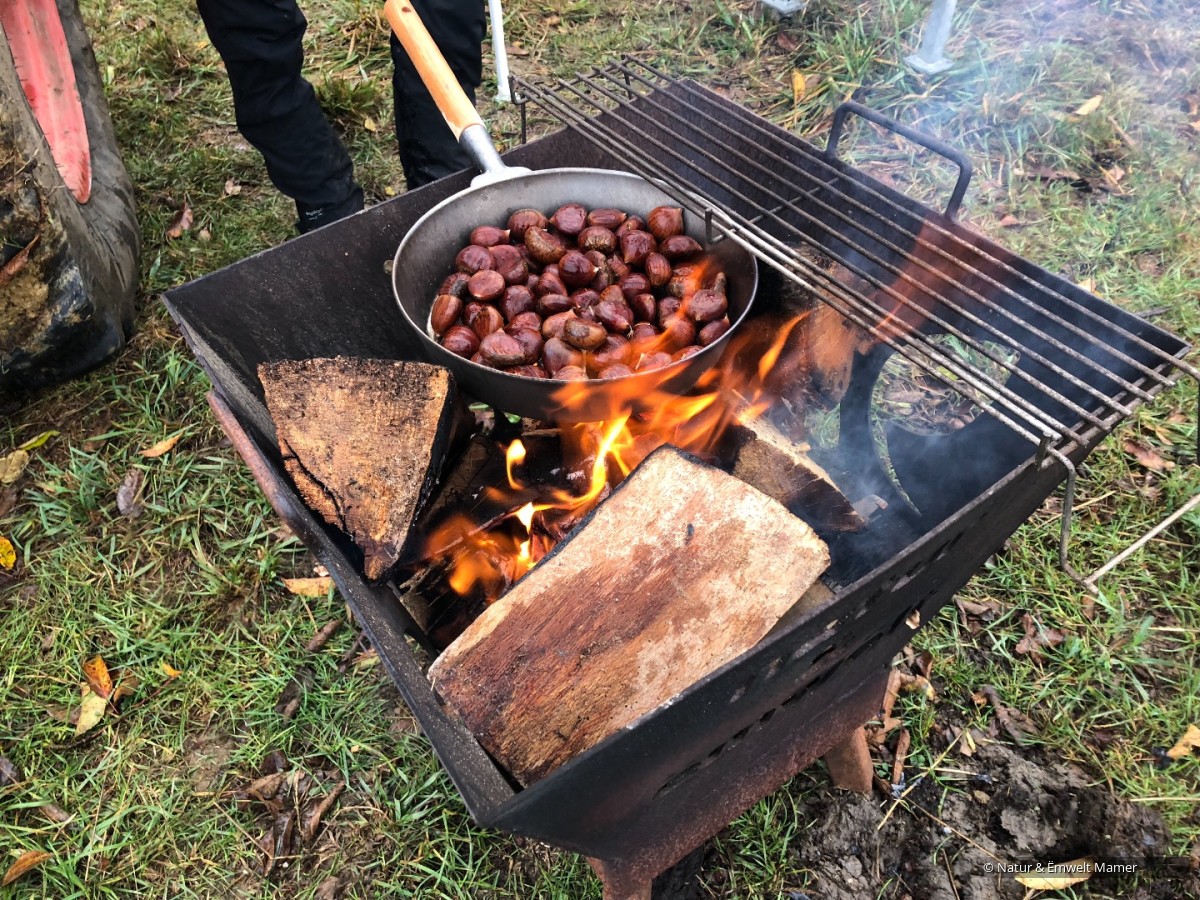 Dag vum Bam am Bongert 10.11.2018