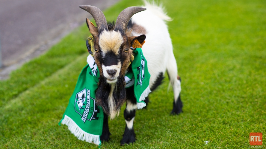 Us Mondorf vs FCD03 (2-2)