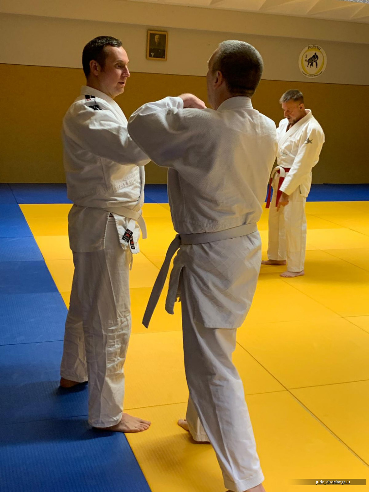 Jiu-Jitsu-Seminar mit Shihan Thorsten Deckert, 14.12.2018