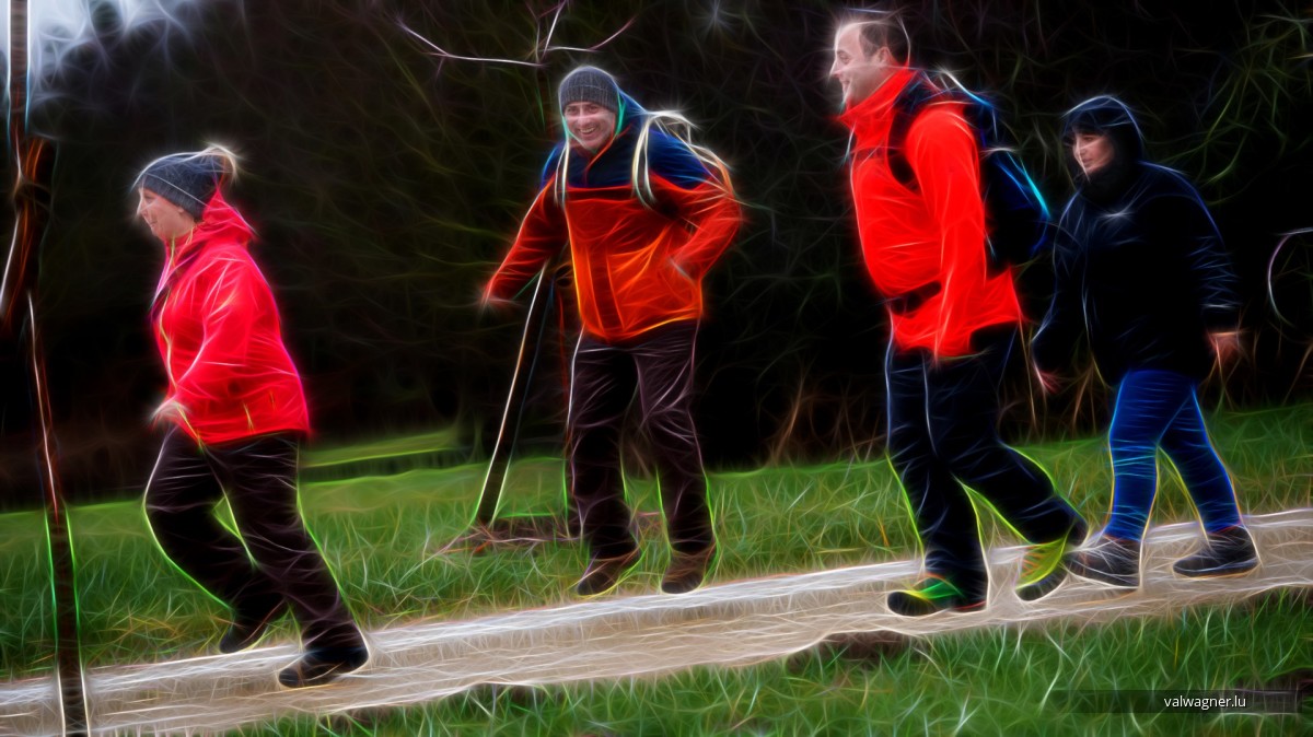 Marche International ZOLWER