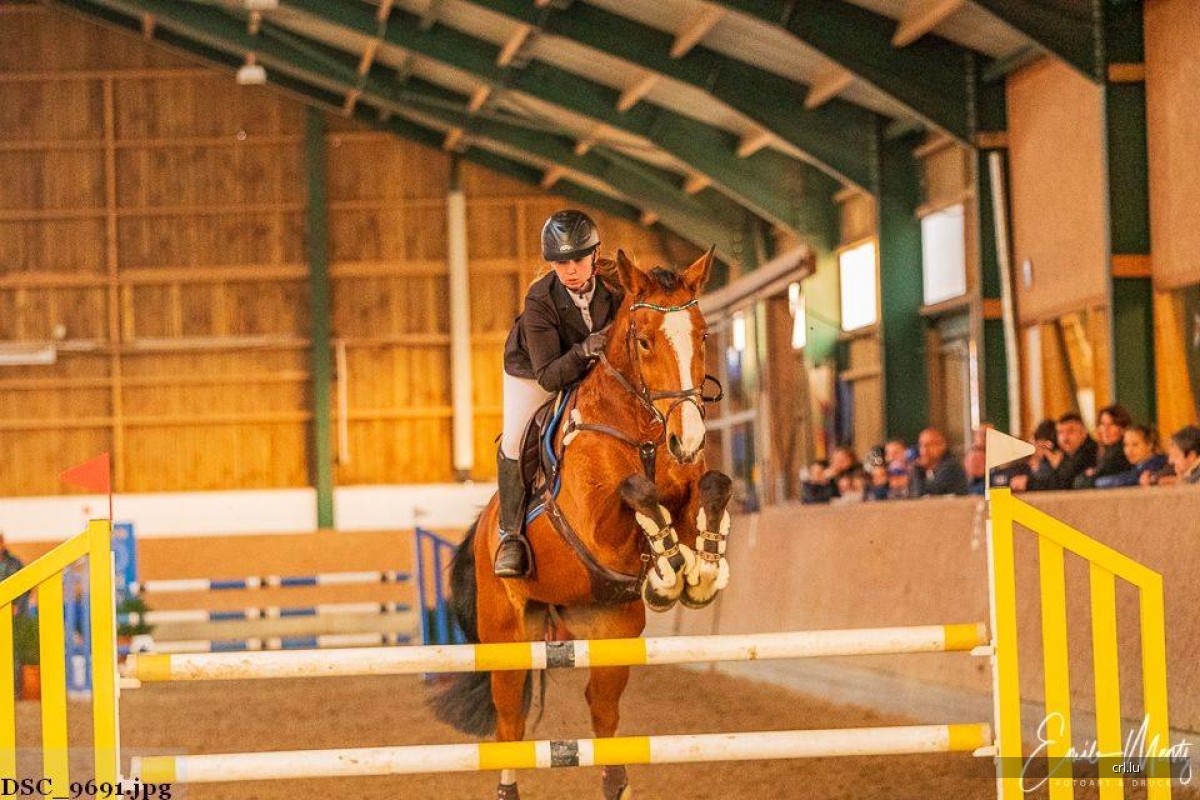 Hallenspringturnier März 2019 - Roost