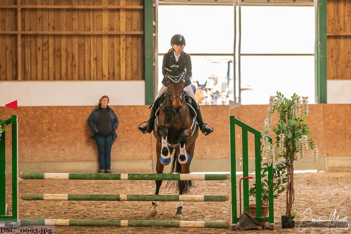 Hallen WBO März 2019 - Roost Springen