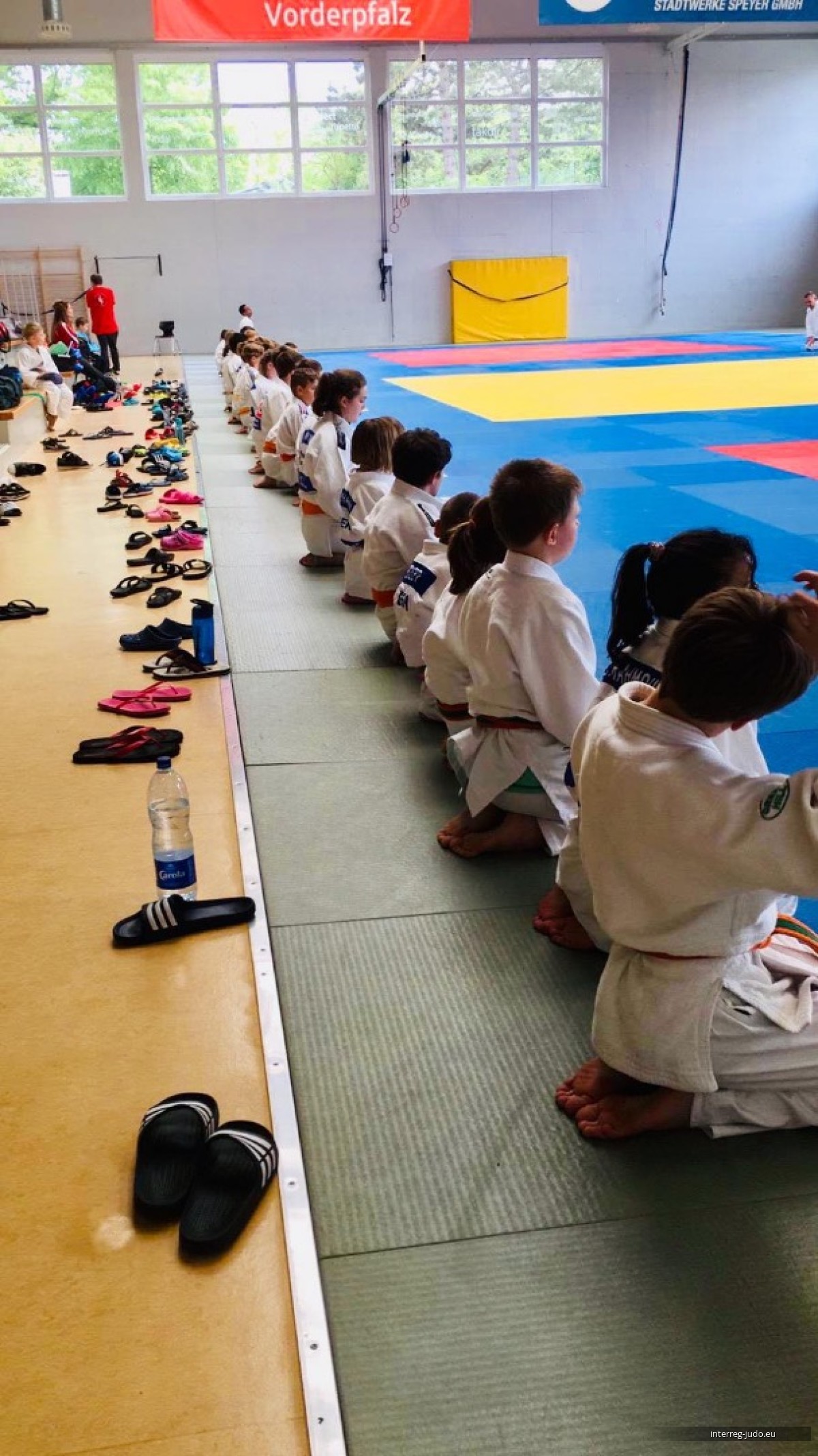Pictures Interreg Judo Training & Competition - Speyer 11.05.2019