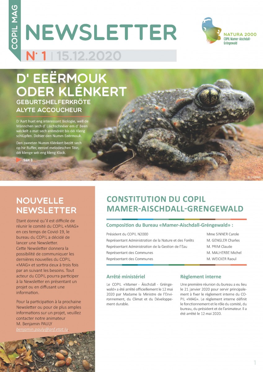 COPIL Newsletter 1 (15.12.2020)