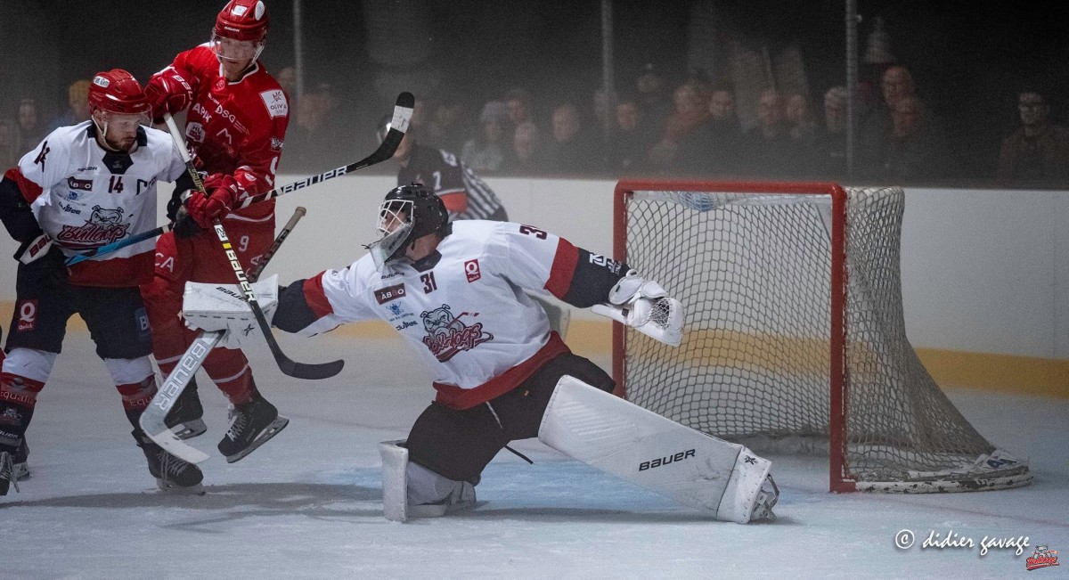 Match Elite - Bulldogs de Liège vs Heylen Vastgoed HYC - coupe de Belgique 10/10/2021 - Photos Didier Gavage