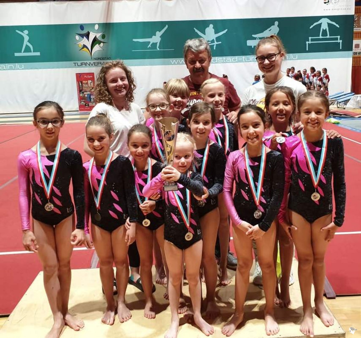 Championnats Sections Minis 2019