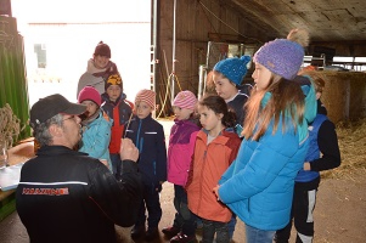 Gewënner Lizenz Molconcours 2016