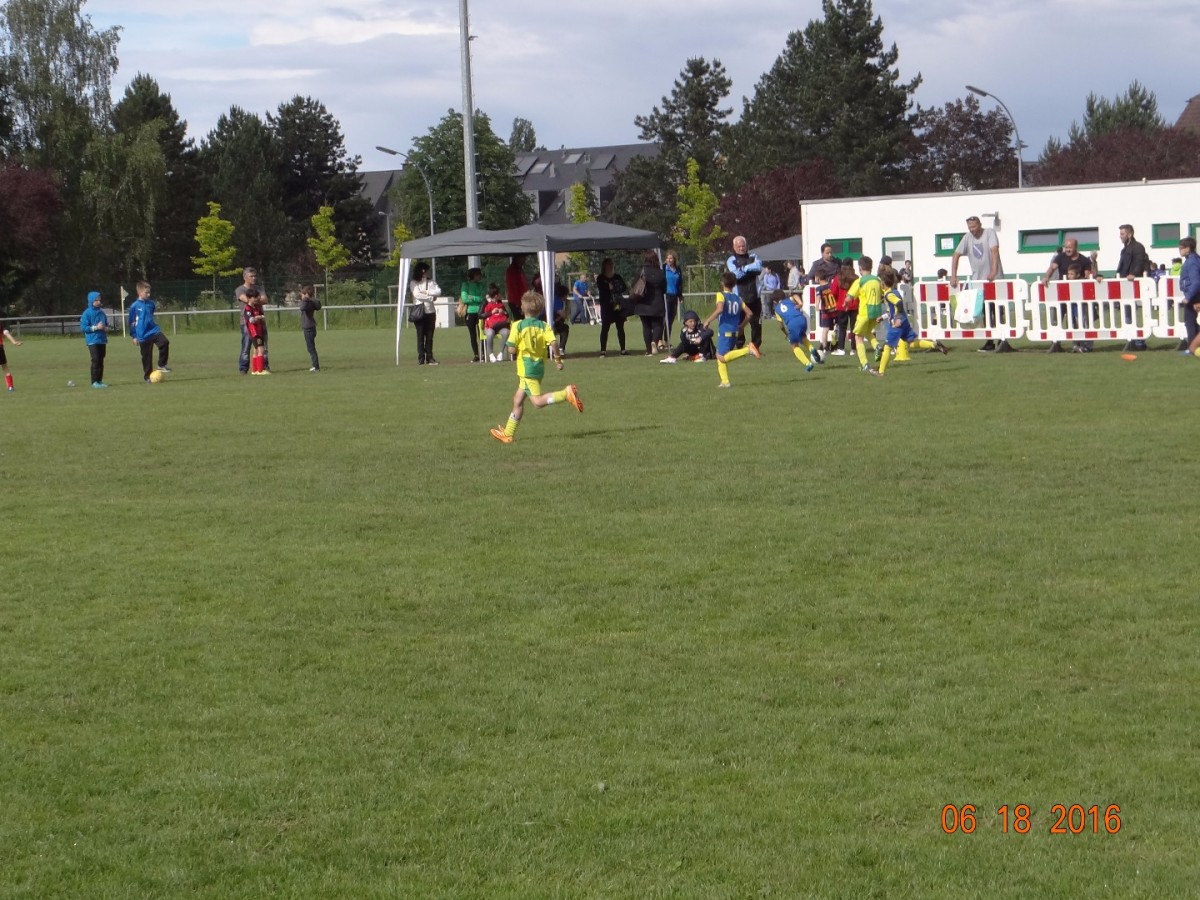 DSC082086f0e3.jpg