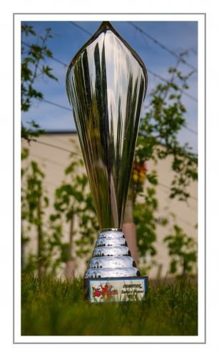 LaLuxLadies Cup 2014