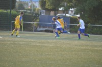 167472fa.jpg