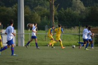 8e236d.jpg