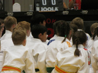 IMG_8554de127.jpg