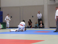IMG_857322f71.jpg