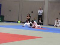 IMG_85795dcd5.jpg