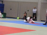 IMG_85806e4fe.jpg