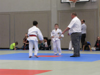 IMG_8585dcd29.jpg