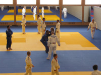 IMG_868524efc.jpg