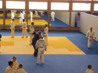 IMG_8687ffd73.jpg