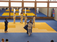 IMG_86887ace9.jpg