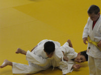IMG_8693d693e.jpg