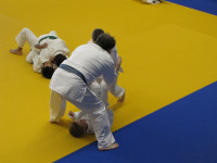 IMG_869430f8e.jpg
