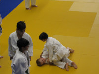 IMG_869535ab8.jpg