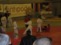 IMG_8730e2960.jpg