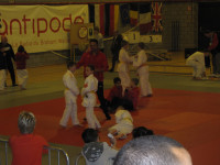 IMG_87322918e.jpg