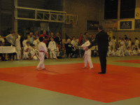IMG_8744cc6f1.jpg