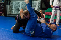 Brazilian_Jiujitsu-59a4a6.jpg