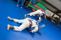 Brazilian_Jiujitsu-2235969.jpg