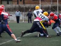P2180041638f2.jpg