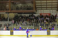 IMG_9049.jpg