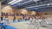 20180513_120331424c8.jpg