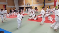 20180513_12042725bad.jpg