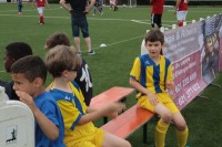 IMG_6015cd2a7.jpg
