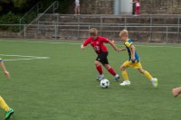IMG_6031eeb3b.jpg