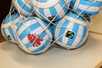 2015-06-09 1. Divisioun FCM_03.jpg