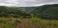 20180623_161115288ff.jpg