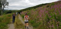 20180623_161144d02a0.jpg