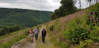 20180623_161455e0c8a.jpg