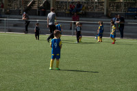IMG_626689f00.jpg